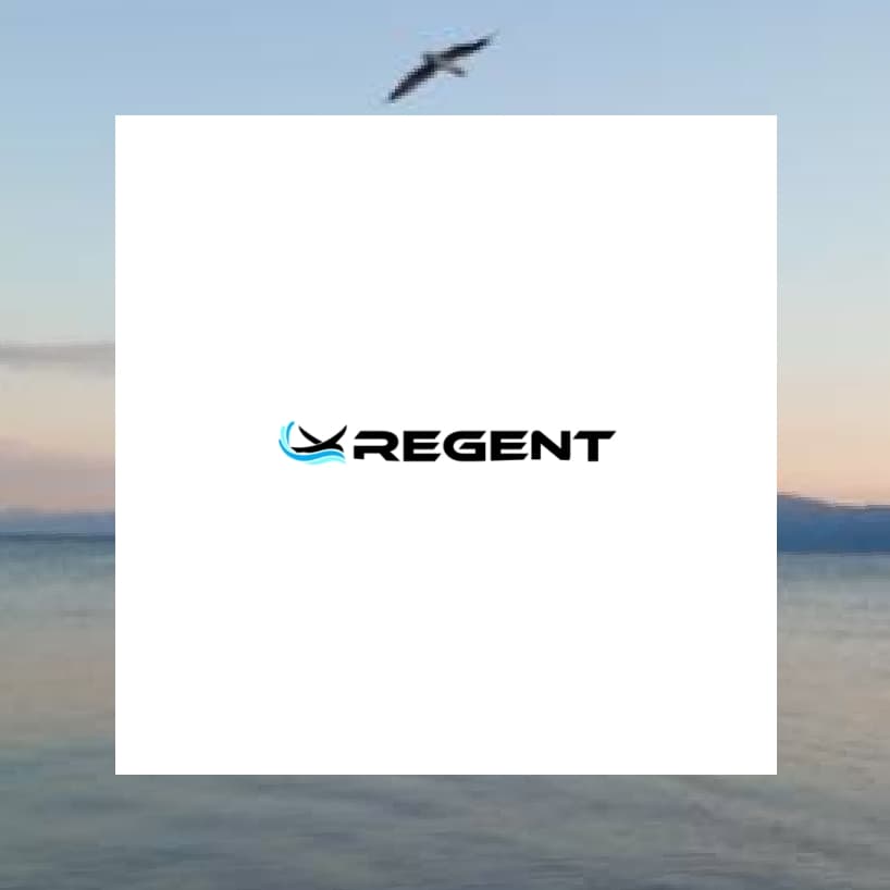 水面上を飛行する電動の「シーグライダー」を開発するRegent Craft Inc.へ出資しました。